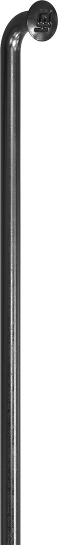 DT Swiss rayons Champion 2.0 noir – lot de 100