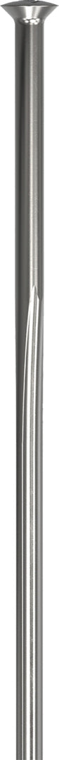 DT Swiss Revolite SP Speiche (Straightpull), silber