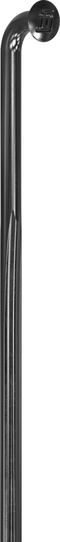 DT Swiss rayons Revolite noir – lot de 20