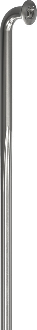 DT Swiss rayons Revolite argent – lot de 20