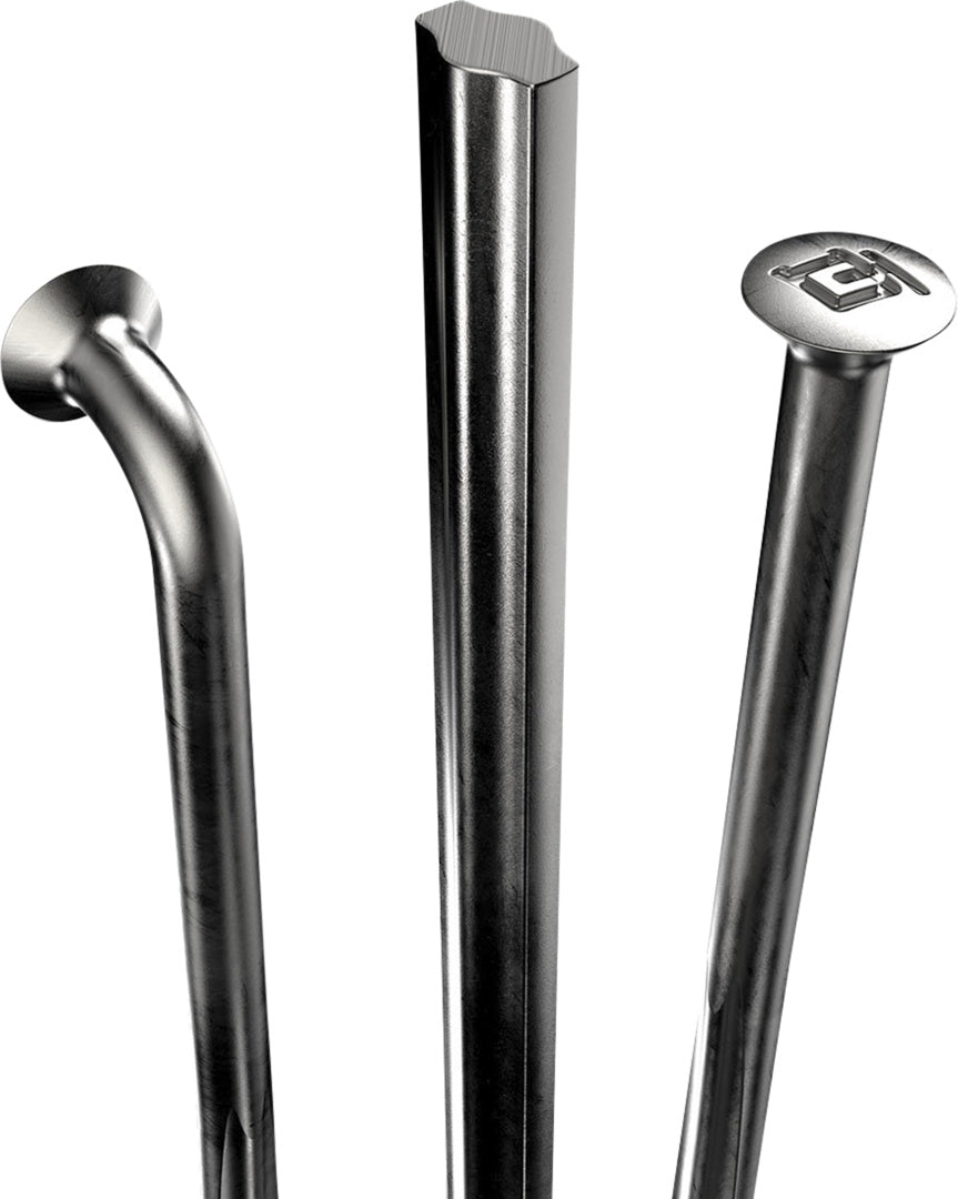 DT Swiss rayons Complite SP (straightpull) noir – lot de 20