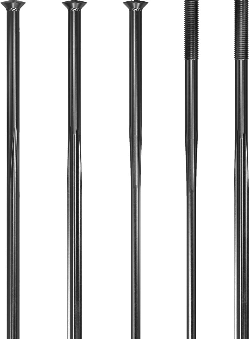 DT Swiss rayons Complite SP (straightpull) noir – lot de 20