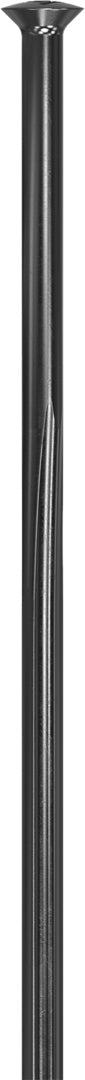 DT Swiss Complite SP Speiche (Straightpull) schwarz