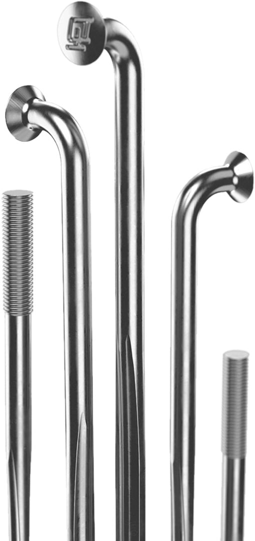 DT Swiss rayons Complite argent – lot de 20