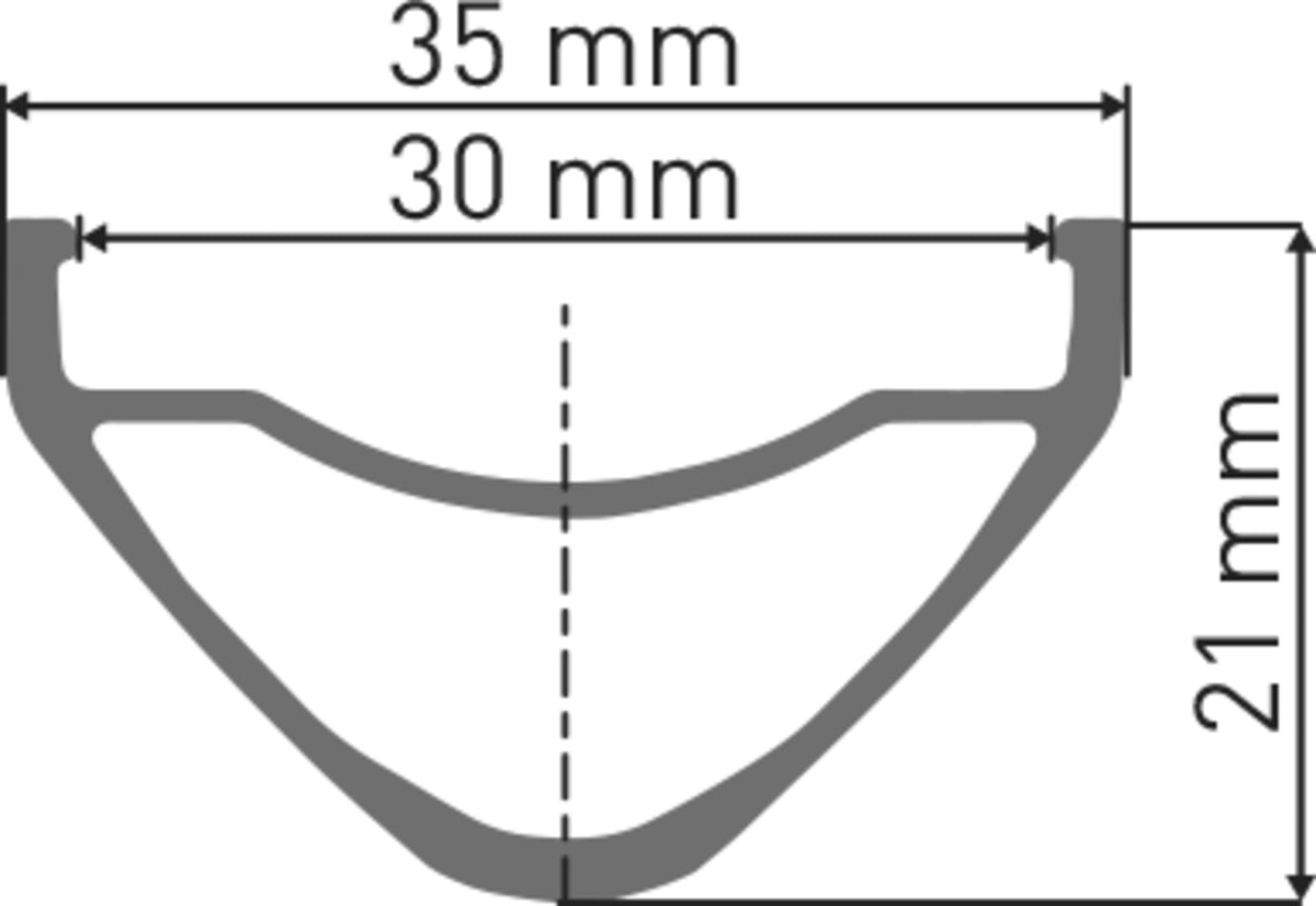 FR 1500 CLASSIC roue 29" IS 30 148/12 HG