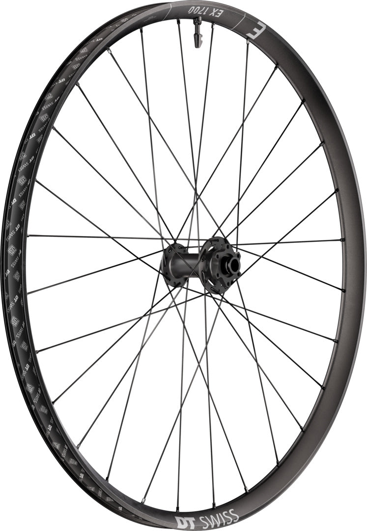 EX 1700 CLASSIC roue 29" IS 30 110/15