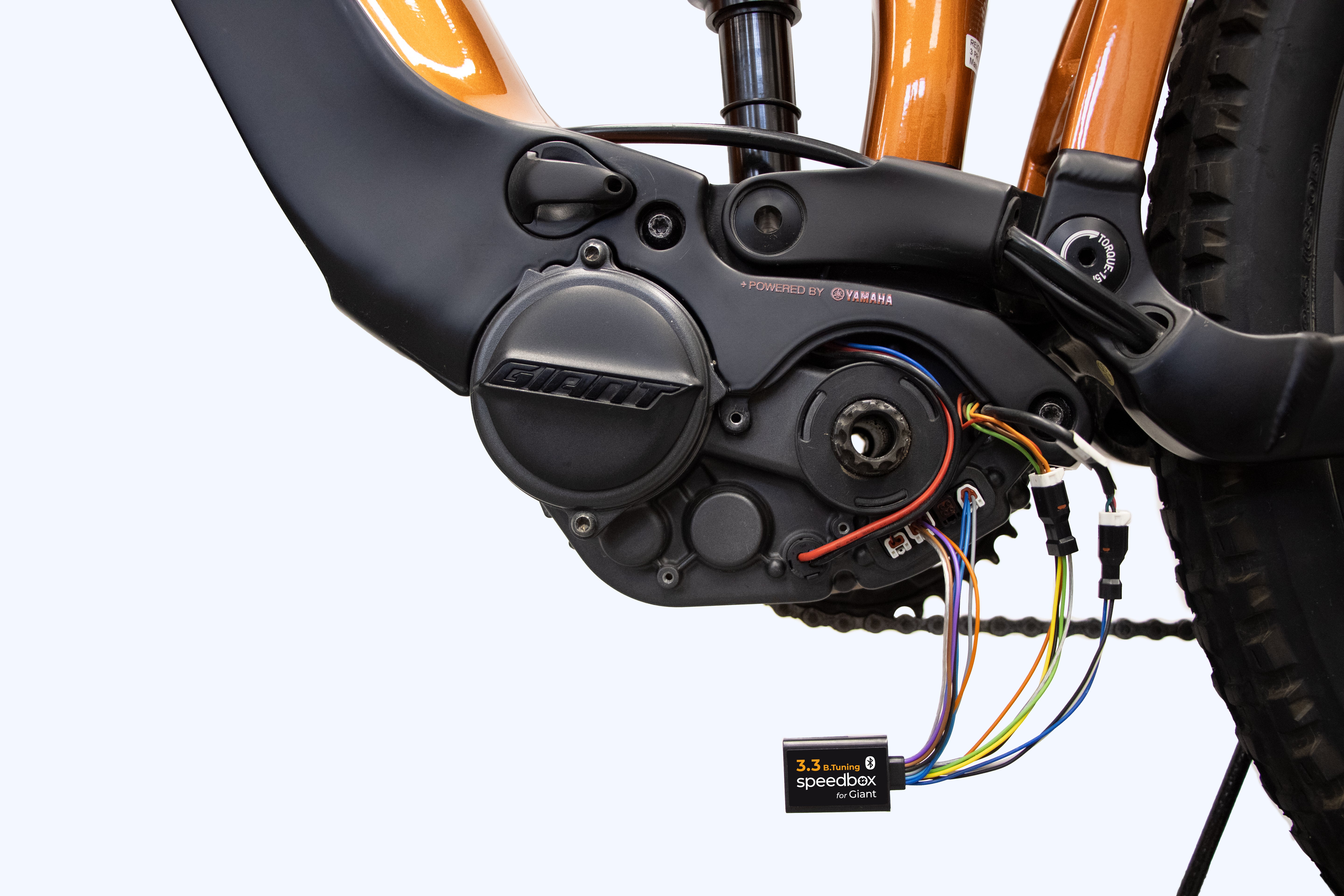 Boitier E-Bike SpeedBox 3.3 B.Tuning pour Giant
