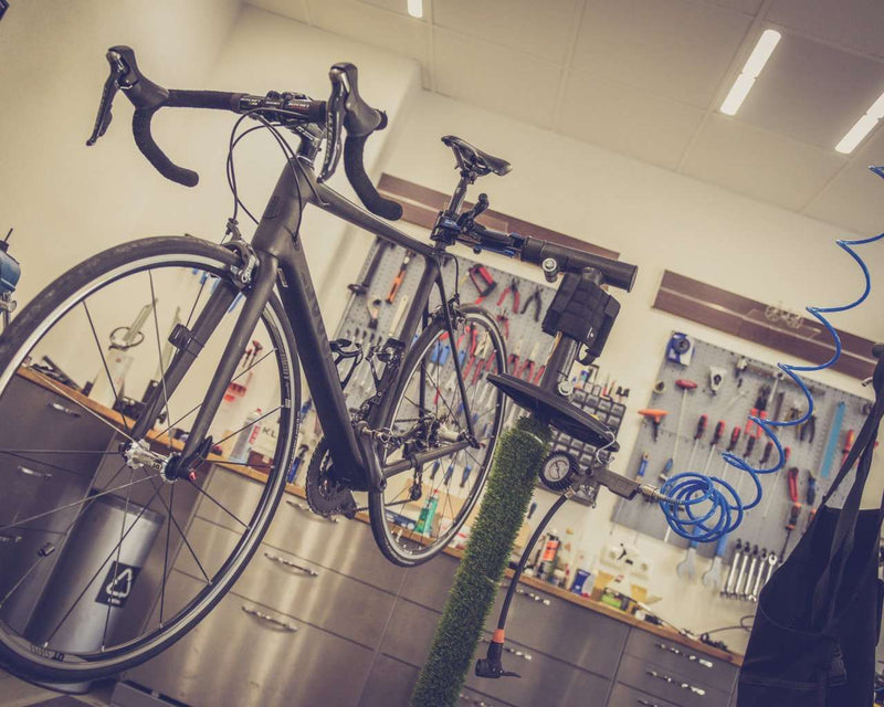 Standard revision Electric bike + Bafang BBS motor