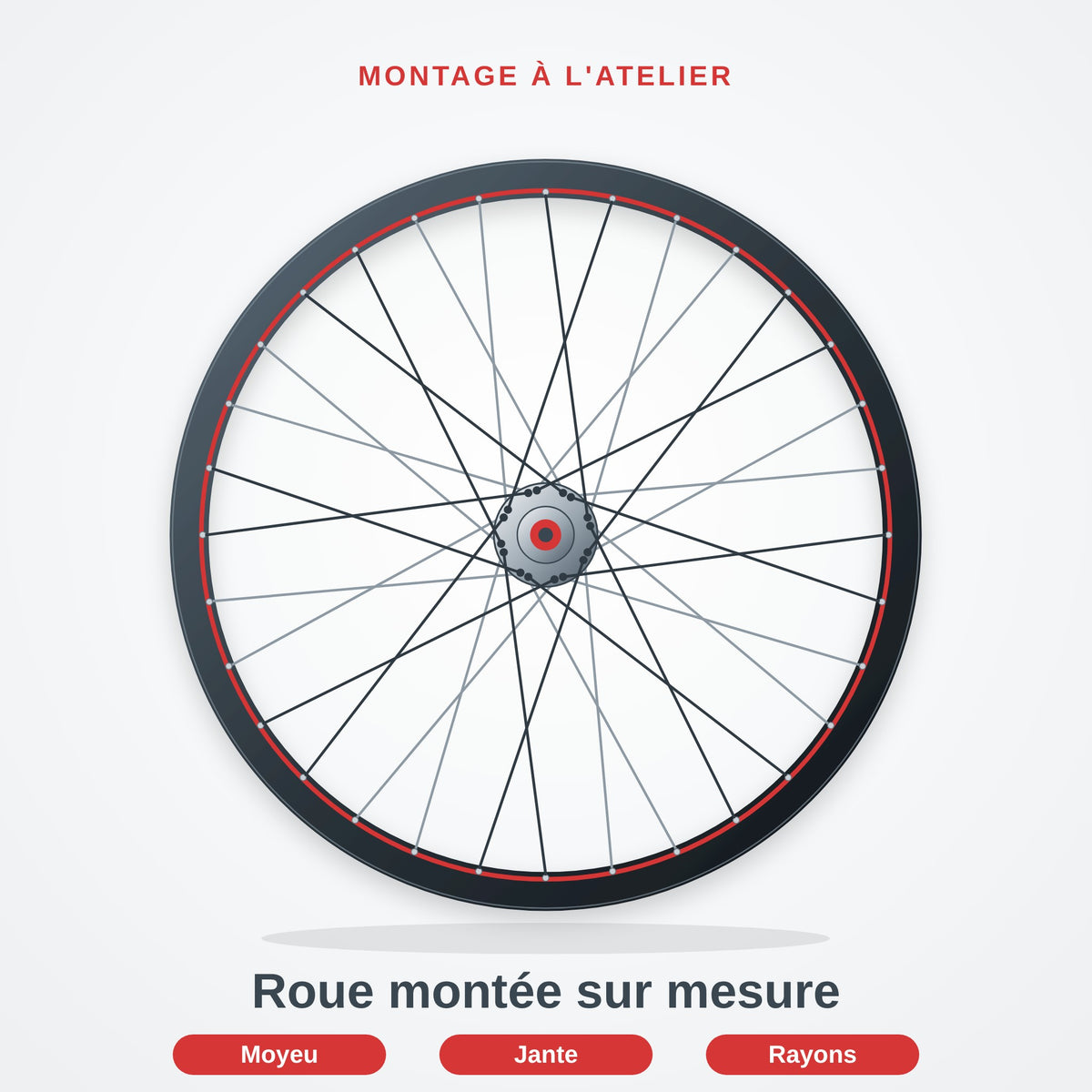 Roue DT Swiss montée sur mesure