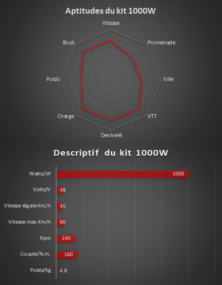 1000w - Complete electric kit