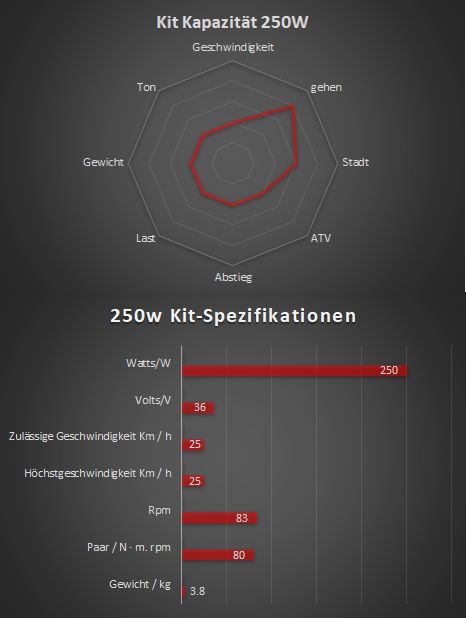 250 W – Kompletter Elektrosatz