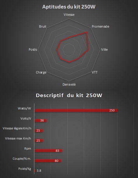 250 W – Kompletter Elektrosatz